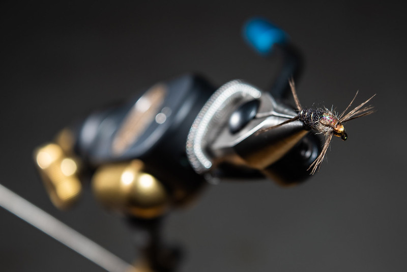 Bead head shell back nymph in fly tying vise fly in focus blurred background