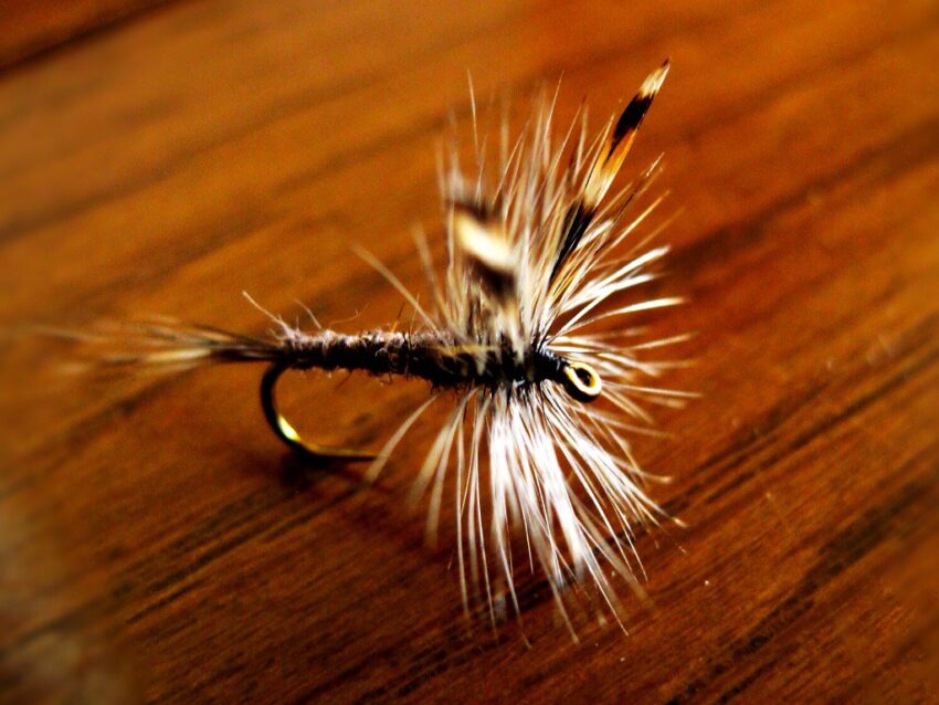 Traditional Adams Dry fly