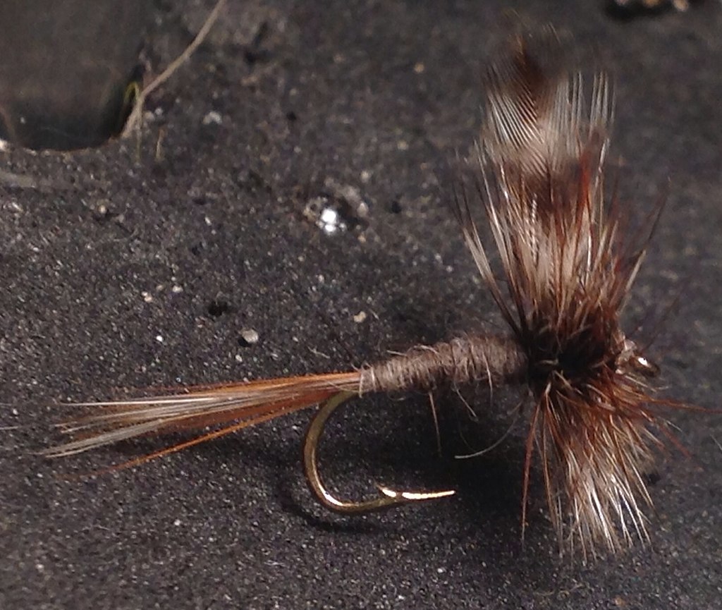 Adams dry fly on dark background